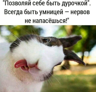 FB_IMG_1647793299103