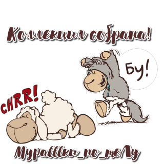 Коллекция собрана