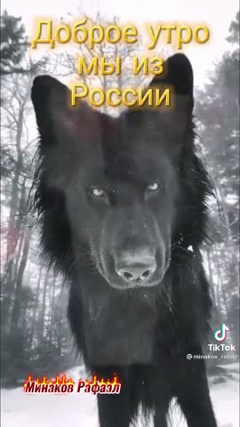 VID-20220429-WA0000