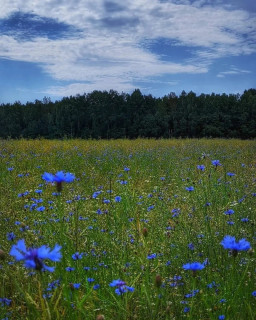 MmA3Z7_6vHL6TfKs8u25uprhfGKwDHomqub_hLBSPTllE7SWLhLrG2WnfeqMtq2HObi5Iit30Lovln2h7Rs86rv3