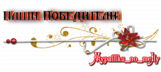 Наши победители
