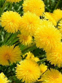 Y6kF1RbMFKB1TV-Y9AgEiUBr3F3og1or_pON5ogI49IcbBJsc4PVu0HwdJfYLfEg1YP0CTZtZk_arZ5_9rhBR0XE