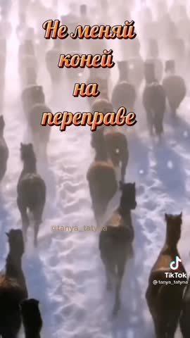 c495673c6115d31dcb9beeeeef7adac9