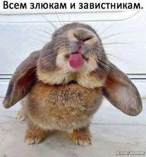 eV58fzCV6Lwr3buP3Q8CtpWrggBmrDhmNBNp_ePsivztI9mJ8B1vvfJJua6WwldXYWdZoEXT