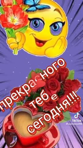 ddc3fc5d1d41991832a143637d6e667d