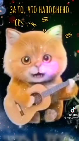 e5bb9b433a891a039fd6f93599036c68