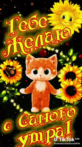 Доброе утро