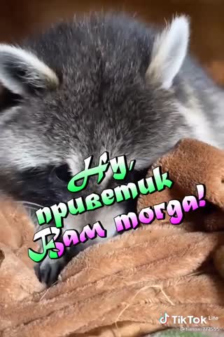 Доброе утро