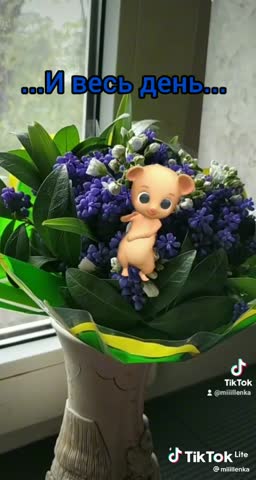 Доброе утро