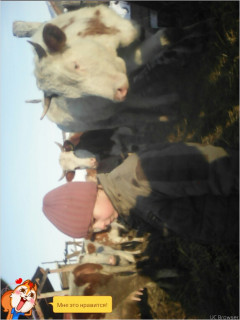 TMPDOODLE1456953057287