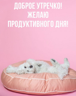 Доброе_утречко