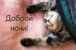 Доброй_ночи