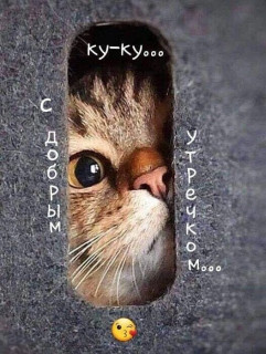 IlYhYS11q1PQMb6JBI6VkdqFmZwB_S5vdhYs5d4ZGDEYLE-rEcvtF6vcVt4pMTNZEpZdKkzZkK82QzFXulvSarAd