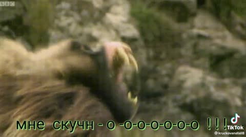 5137bbd43f3711ec1d0d4297d260d79d