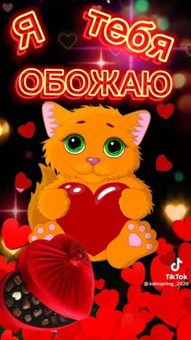 b02cef6f7f0976ed79e89ccd366bd08b