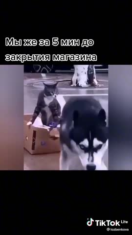 За пять минут до  закрытия магазина