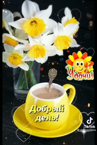 222971a0804d14f67877e9ee02a414f2