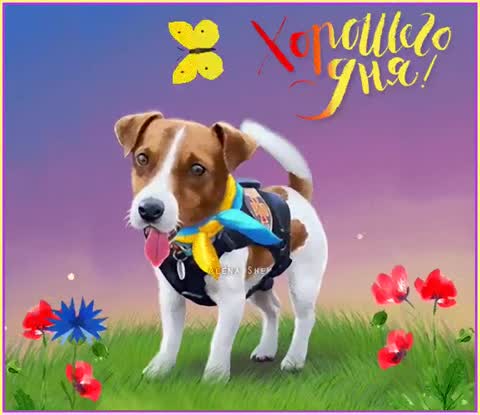 video-3fab3c83950ec05bedcf21c8cf65cb51-V