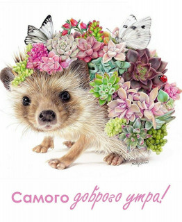 IMG-d8166ccb77ae25dd182065d077366628