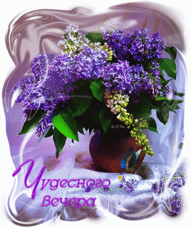 GIF-27f004d01ca4f103ac12f07c72de200a