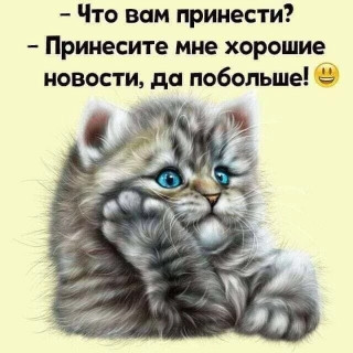 JkOBfr4DTWqcIyzwBIdYNTbvxkaIlmn4WZW_Dt3_pod7IUBmpf4TSt3CcPiVfIdlehyc8u6DXcgEWDGf3mdmY3i9