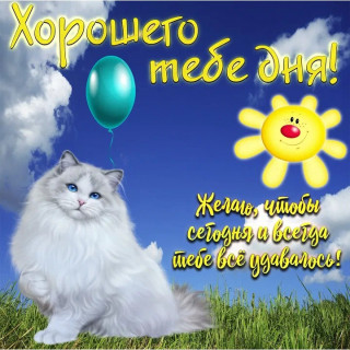 IMG-21d684324e1be84487f9ac0171337277