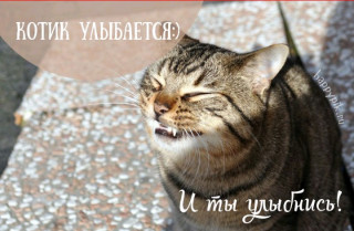 IMG-fea486ce2b4c1f90911471f8fa3d41e3