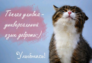IMG-eeeec8886f036ab4ecb4f152a9b8177d
