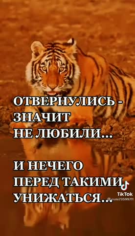 0fd1f2f5a6b4e027099c9232c2ce3319