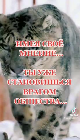 a38d87f7b97b0f94cdae45a48b1dbfbc