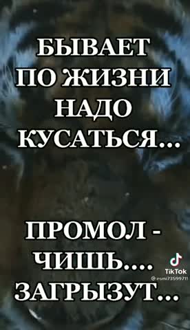 bf86ea7fe46df44e90163dc2d2625077