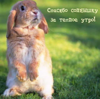 IMG-8a5793f948e77d9f8ed72339b0d027cb-