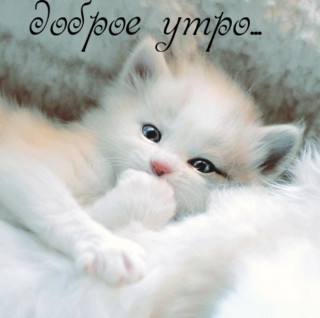 IMG-461f79daef43d2b28b1f0ba6ef00b196-