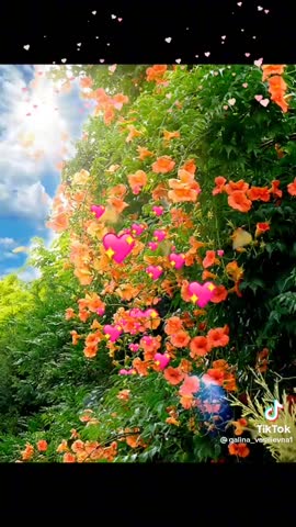 a8aec79a0998608ec9ed212b6577e4a1