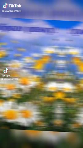 ff5451bee2f7a0edaf3075bb6867e48b