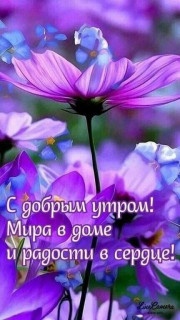 IMG-b7b7884a7231616d714a9a671e714718-V