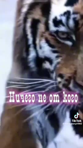 49302c1c6035bc6d7c048f7aad2f7bcc