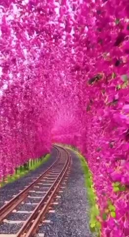 VID_20220521_165752_958