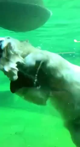 VID_20220529_223029_614