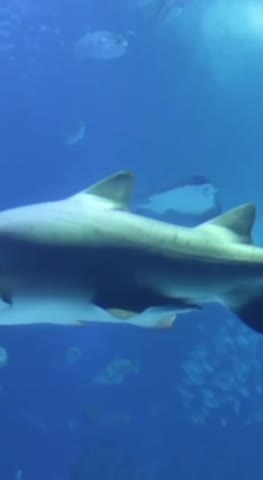 VID_20220529_222719_727