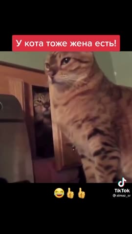 Ревнивая жена