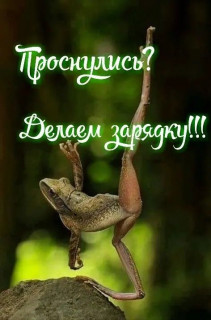 IMG-7bb76f819e7c8a13f6d29ced9976a2a2