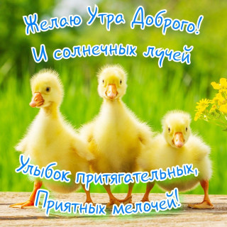 IMG-bdb93f464c08c5d0dddffc5c44e3fd5a