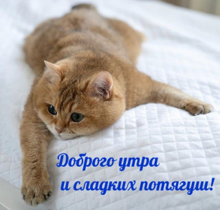 IMG-ca9af0990e012e1f714a79df21e3ce12