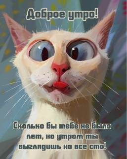 IMG-9482cd6fe5ff2e56b2879094bf3144d7