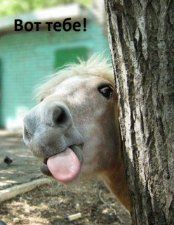 IMG-0dd2f380fc41ab40a77430bba388137a