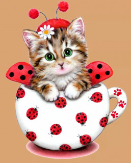ibtissam59-___CaZbcXBseAy___-