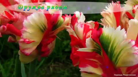 Привет