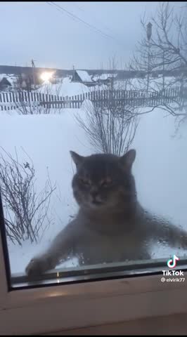 -Сиротинушка-