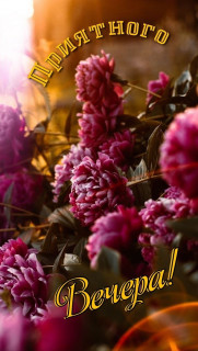 IMG-bd21b86f44833f4913d342c5b5d43ecb-V